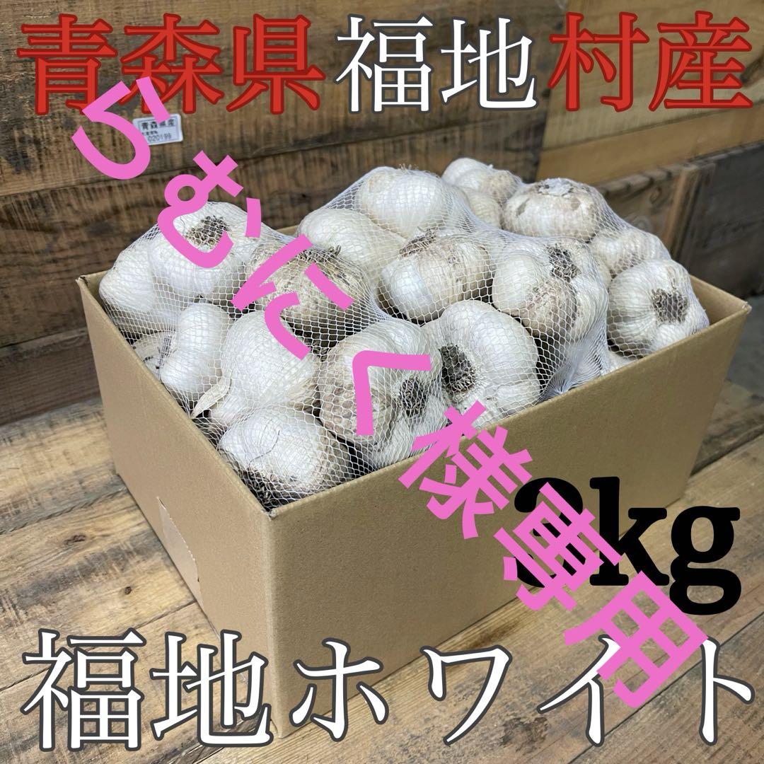 らむにく様専用　福地村産　土付き　L 3kg 青森県産にんにく　半生　半乾燥
