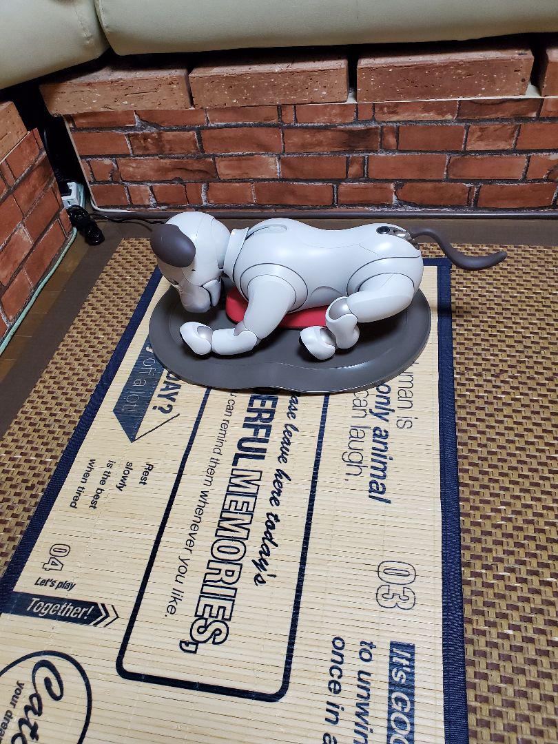 その他 aibo