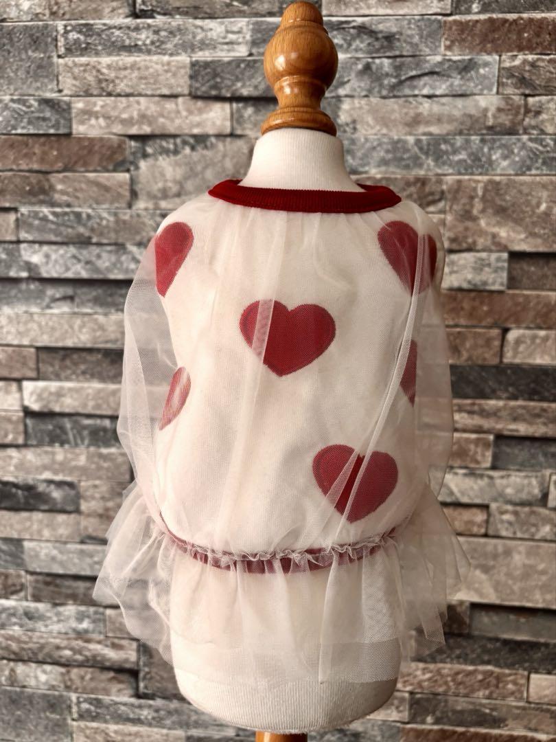 Hannah ♡ ショートケーキ 犬服 XSサイズ