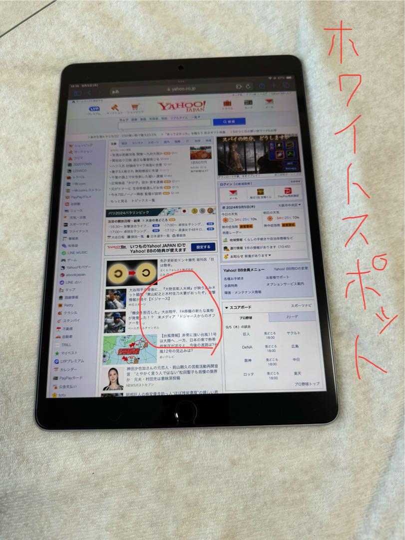 iPad Pro 10.5インチ スペースグレイ Wi-Fiモデル 256GB 画像5