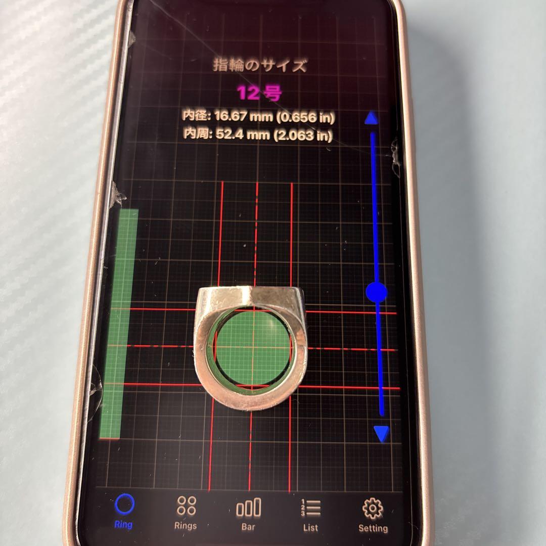 TENDERLOIN テンダーロインホースシューリング925SV USA