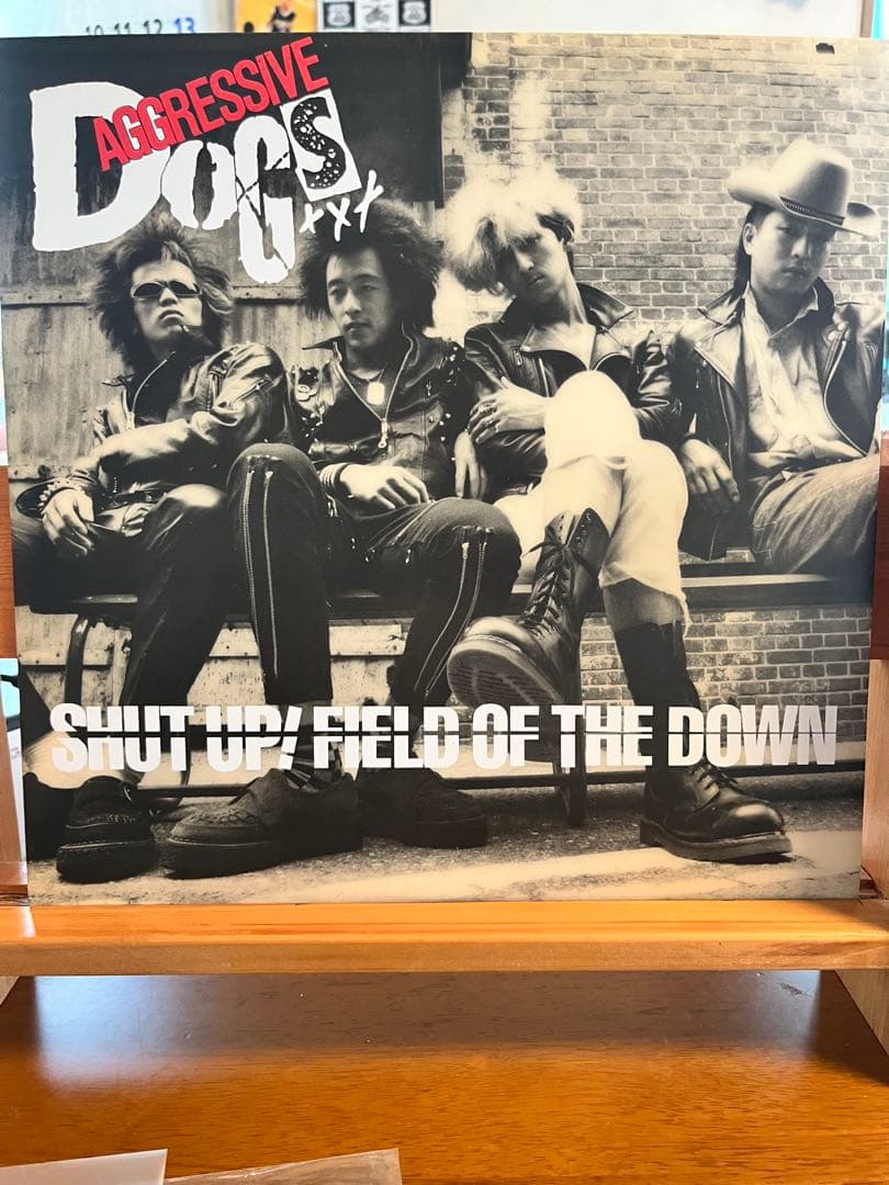 Aggressive Dogs 1st LP
