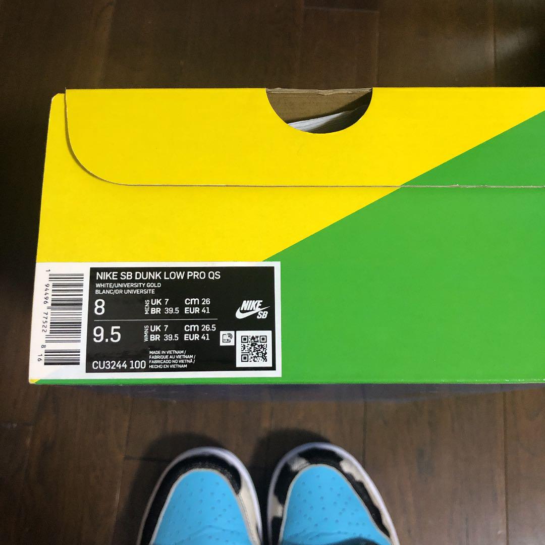 NIKE SB ベン アンド ジェリーズ 26cm