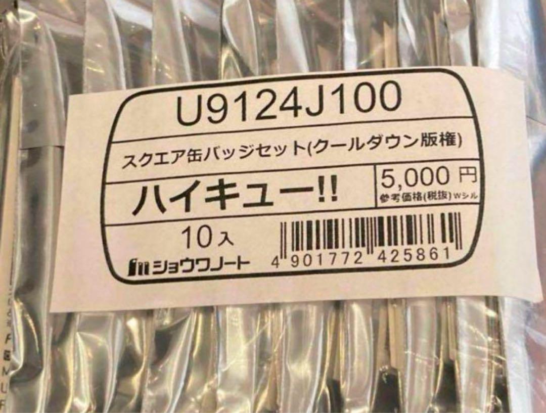 ハイキュー 缶バッジ クールダウン セブンネット 10個セット ハイキュー スクエア缶バッジ(クールダウン) とハイキュー