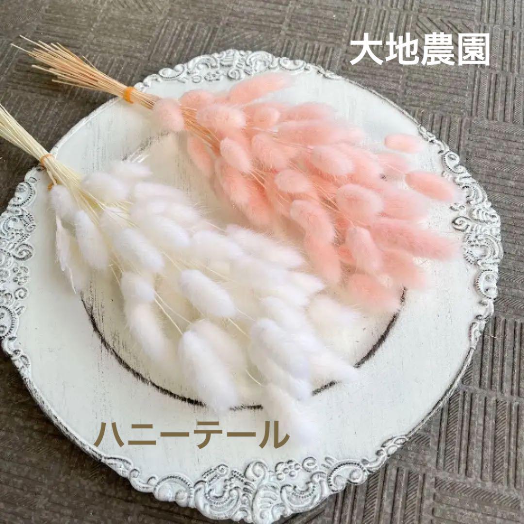 ☆専用品⭐︎　ヒマラヤ　マニカラン  水晶　クラスター　浄化セット　天然石　原石 ☆専用品⭐︎ ヒマラヤ マニカラン 水晶 クラスター 浄化セット