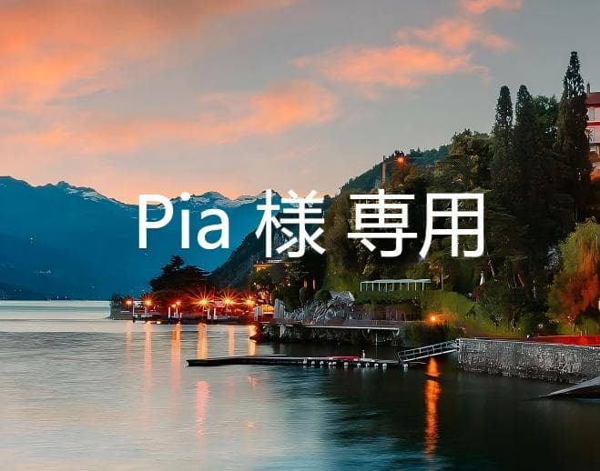 Pia様専用 pia様専用ページ ぴｙｏｙｏん♡様専用 ばろん様専用ページ（か