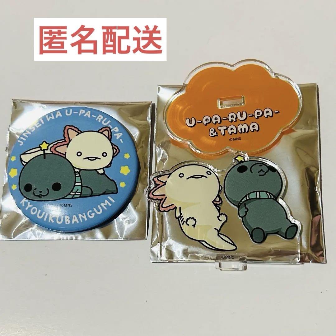 【代引き不可】 教育番組 タマ アクリル 缶バッジ 人生はウーパールーパー ピンズ・ピンバッジ・缶バッジ
