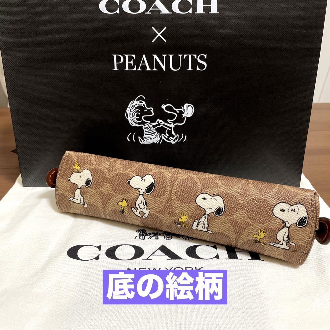 COACH - 【COACH X PEANUTS】ペンシル ケース・シグネチャー