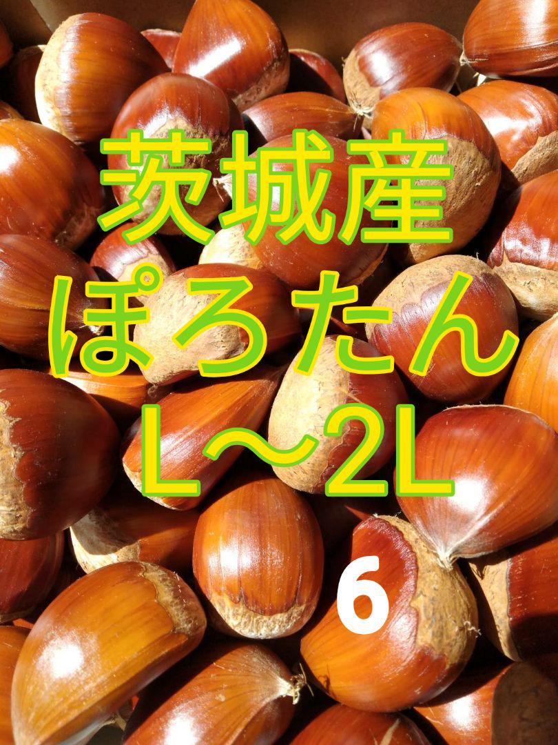 ゴリ吉様専用 生栗 ぽろたん 大2キロ - marketingagricola.pt