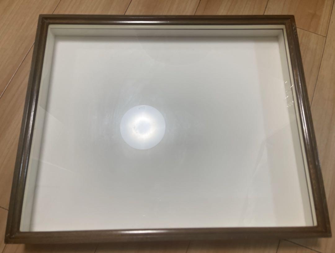 バードウィング　木製ドイツ箱　Tatsumi 大型　茶色