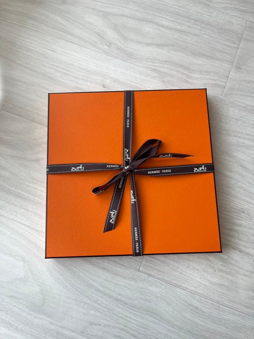 HERMES エルメス カレ90 プリーズ・ホールド・ザ・ライン 白系