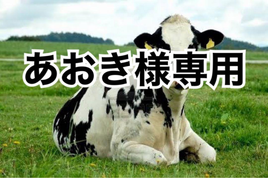 黒表革195ds、グリーン10本