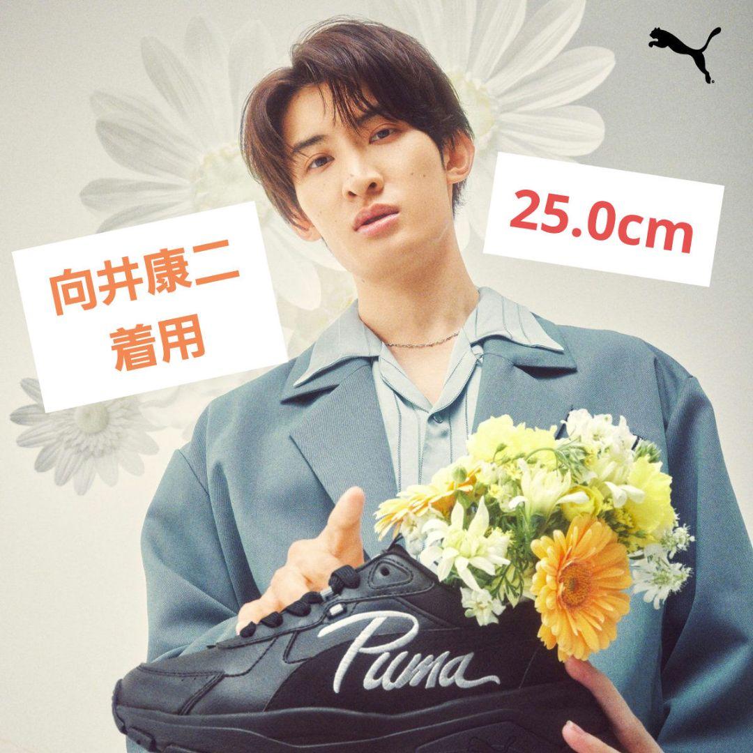 【即購入◎】プーマ PUMA 向井康二 着用 カシーア ヴィア PUMA