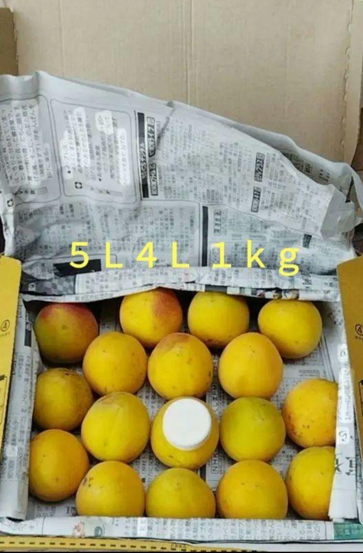 【もこもんチルド便】完熟梅 南高梅 3kg 栽培期間中農薬不使用 4L5L