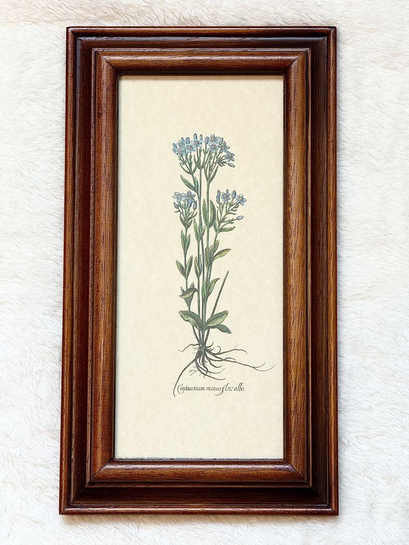 【まとめ売り】木製フレーム付き 植物画 4枚セット【インテリア/アート】