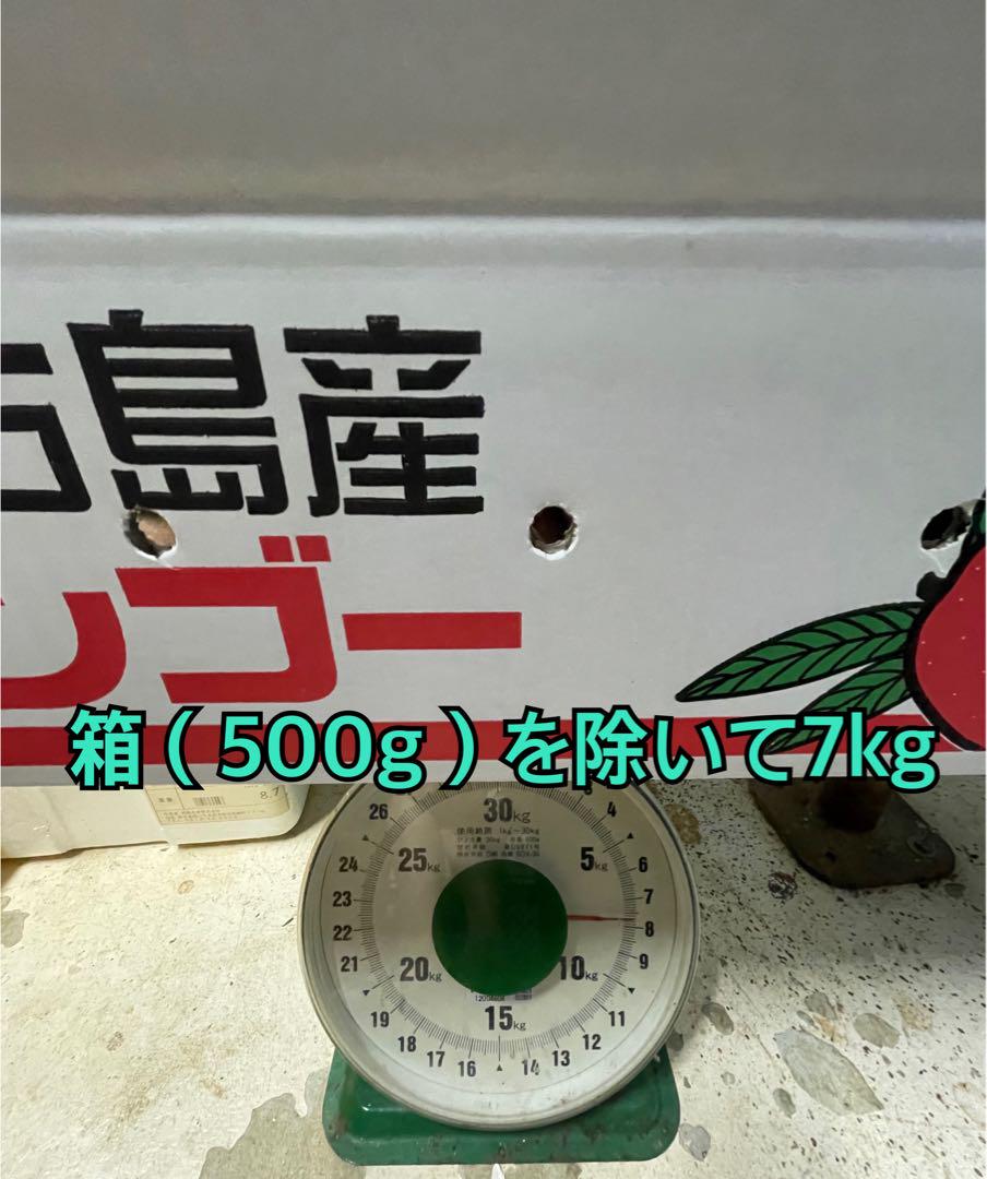 宮古島産　摘果マンゴー 7kg（送料込み）即日発送^ ^