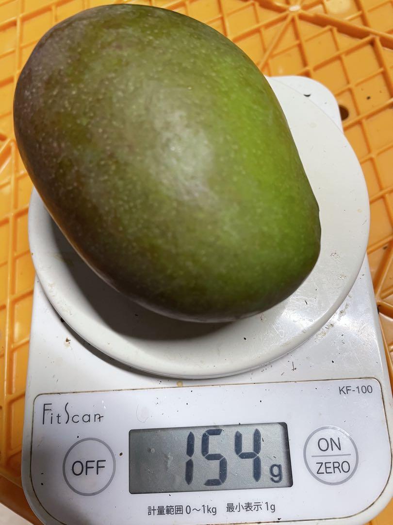 宮古島産　摘果マンゴー 7kg（送料込み）即日発送^ ^