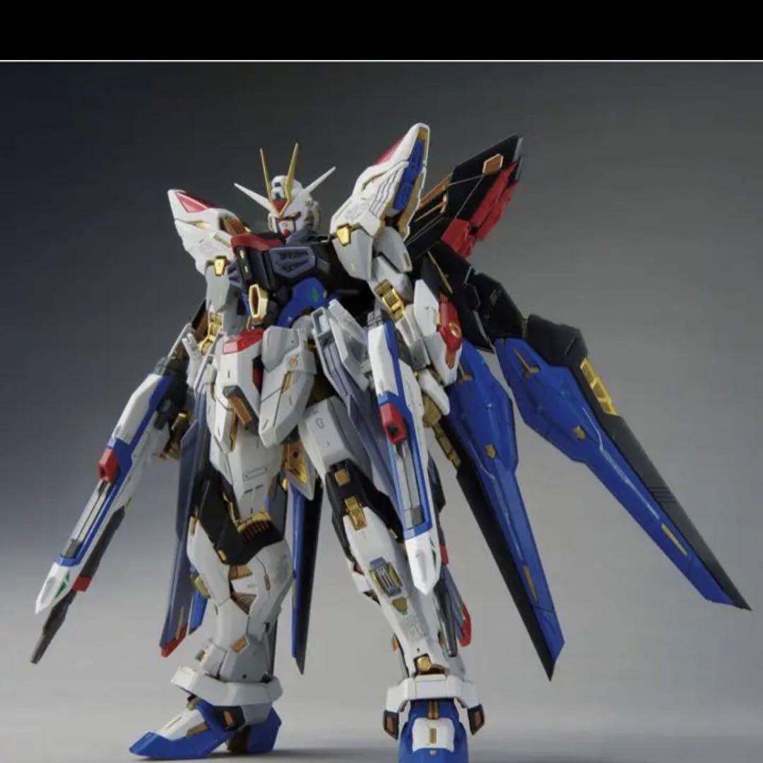 ガンプラ MGEX ストライクフリーダムガンダム