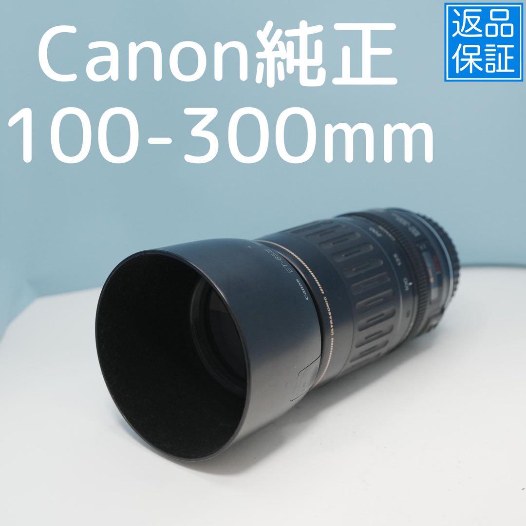 Canon純正 100-300mm 望遠レンズ 美品 a2186 Canon純正 100-300mm 望遠レンズ a4658 - メルカリ