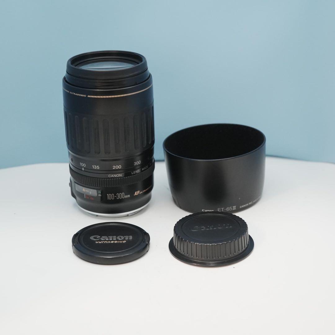 Canon純正 100-300mm 望遠レンズ 美品 a4376 Canon純正 100-300mm 望遠レンズ a4658 - メルカリ