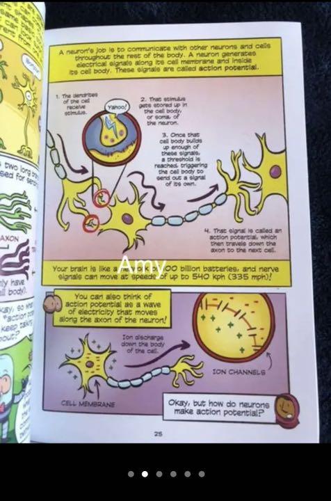 英語科学漫画Science Comics 14冊