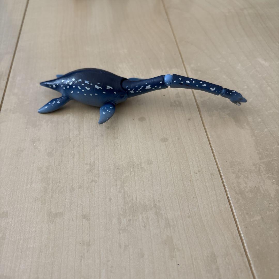 アニアキングダム