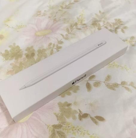 Apple Pencilすべて未使用・未開封です Apple [新品未使用・即納] Apple純正 Pencil (USB-C) アップル
