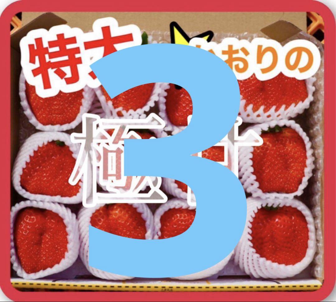 特大‼️新鮮朝採りいちご
