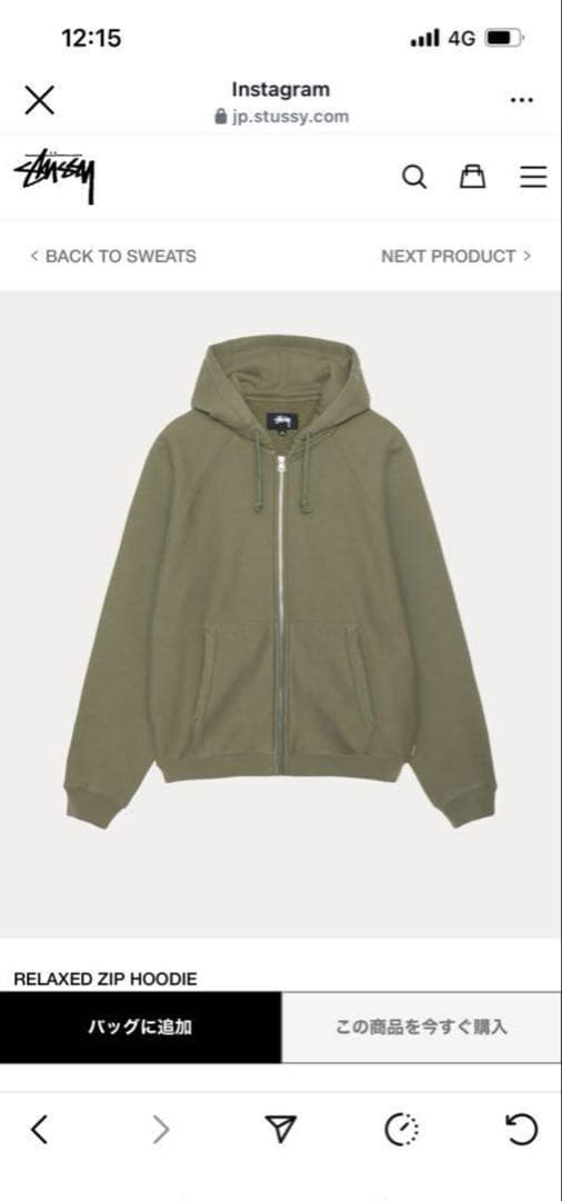 stussy RELAXED ZIP HOODIE