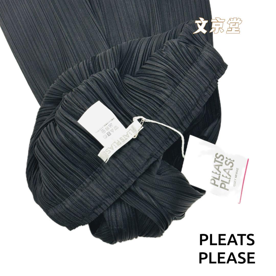 イッセイミヤケ プリーツプリーズ pleats please basic パンツ