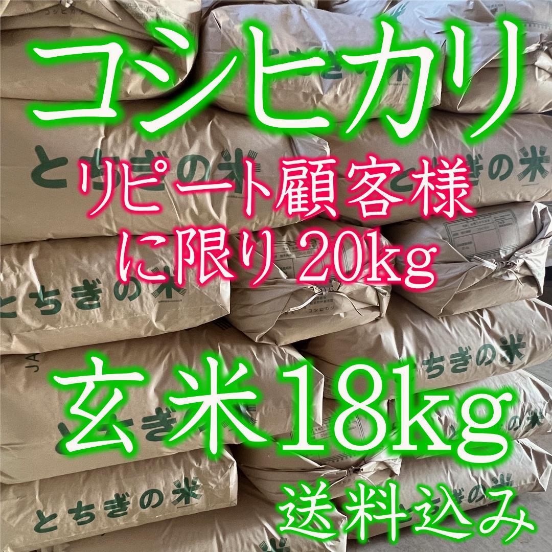 令和６年産コシヒカリ玄米18kg 栃木県産 とちぎの米