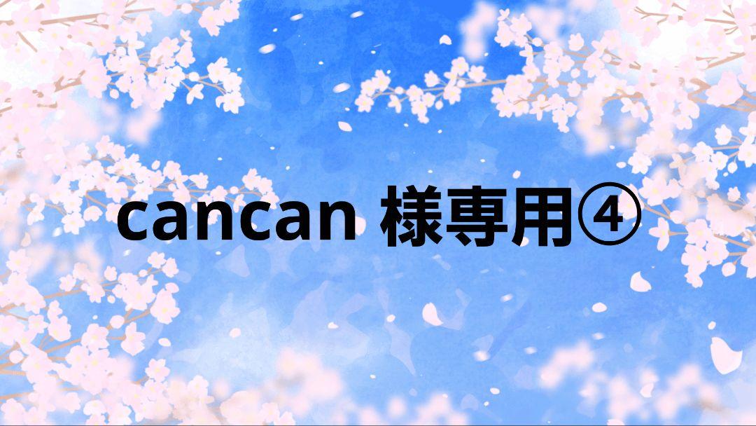 cancan 様専用④　フラットポーチ　マルチケース
