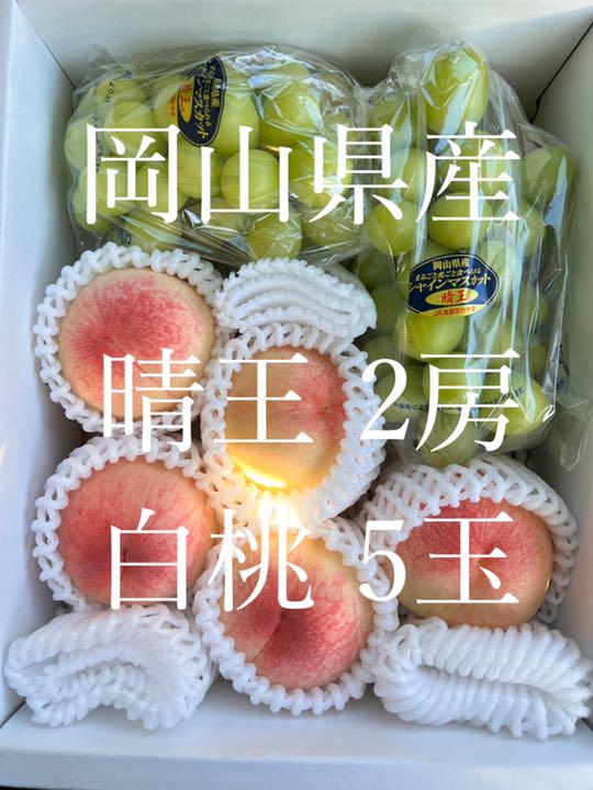岡山県産 晴王大房白桃ロイヤルセット【クール便】