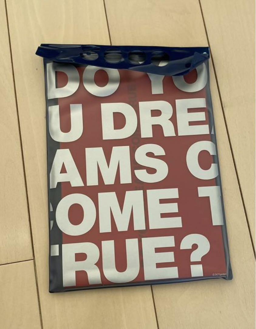 ドリカム DREAMS COME TRUE ツアーパンフレット