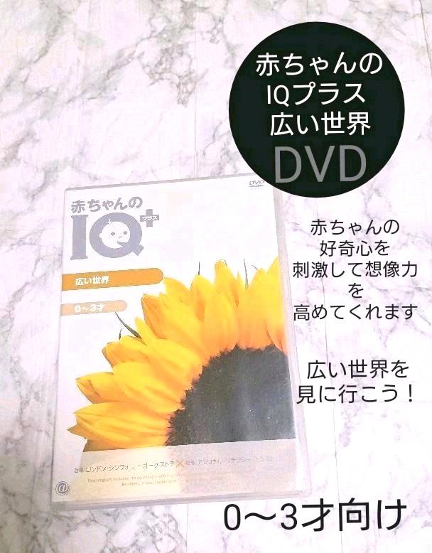 メルカリ 赤ちゃんのiqプラス 広い世界 Dvd キッズdvd 子供0 3才 キッズ ファミリー 1 141 中古や未使用のフリマ メルカリ 赤ちゃんのiqプラス 広い世界 Dvd キッズdvd 子供0 3才 キッズ ファミリー 1 141 中古や未使用のフリマ