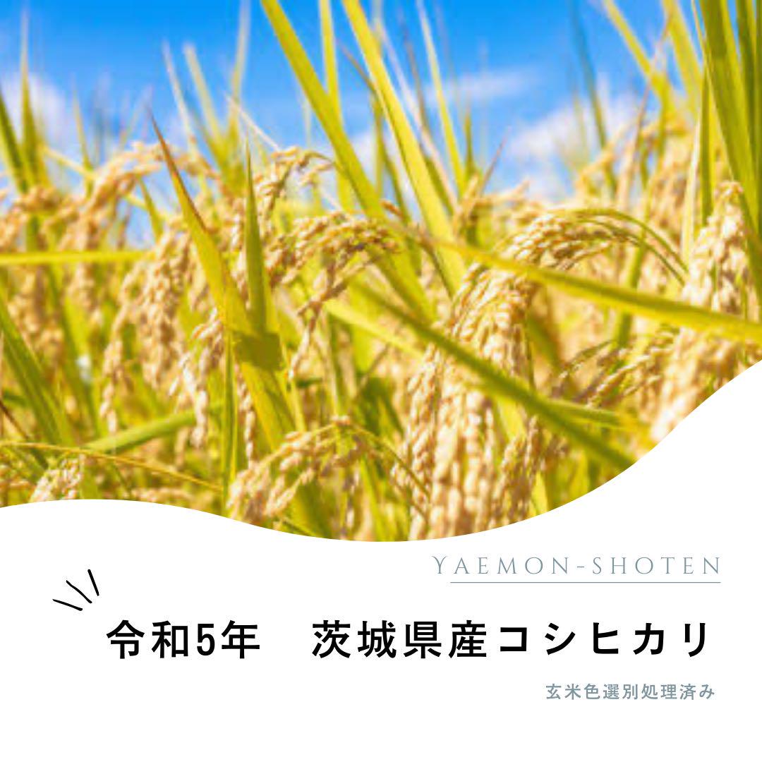 令和5年　茨城県産コシヒカリ　白米25キロ