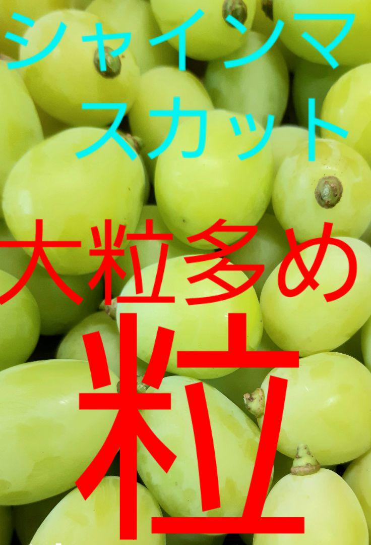 シャインマスカット大粒多め入り粒3キロパック入りになります。