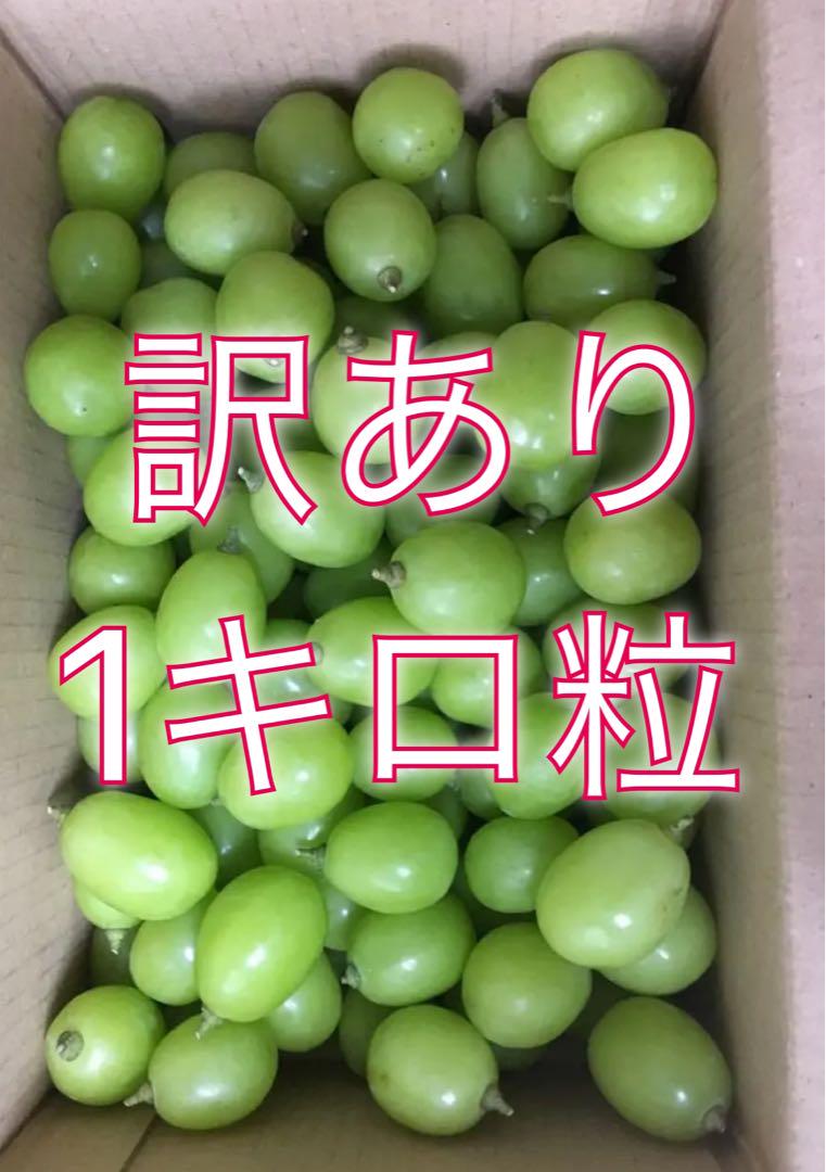 サンふじ3kgいちご章姫ムーンルージュ　シャインマスカット　マイハート　3kg箱 サンふじ3kgいちご章姫ムーンルージュ シャインマスカット マイ
