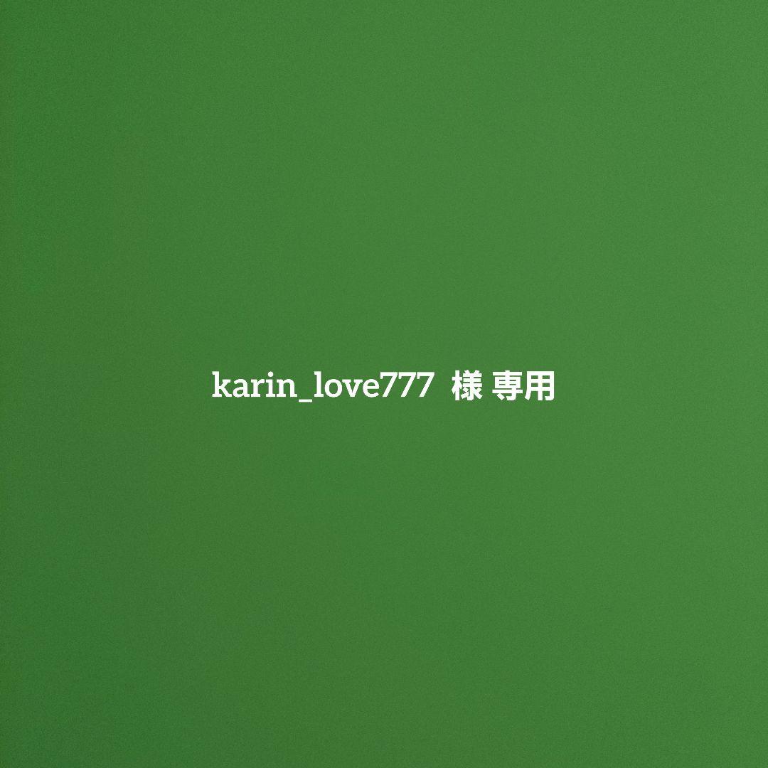karin_love777  PECRON AC充電アダプター