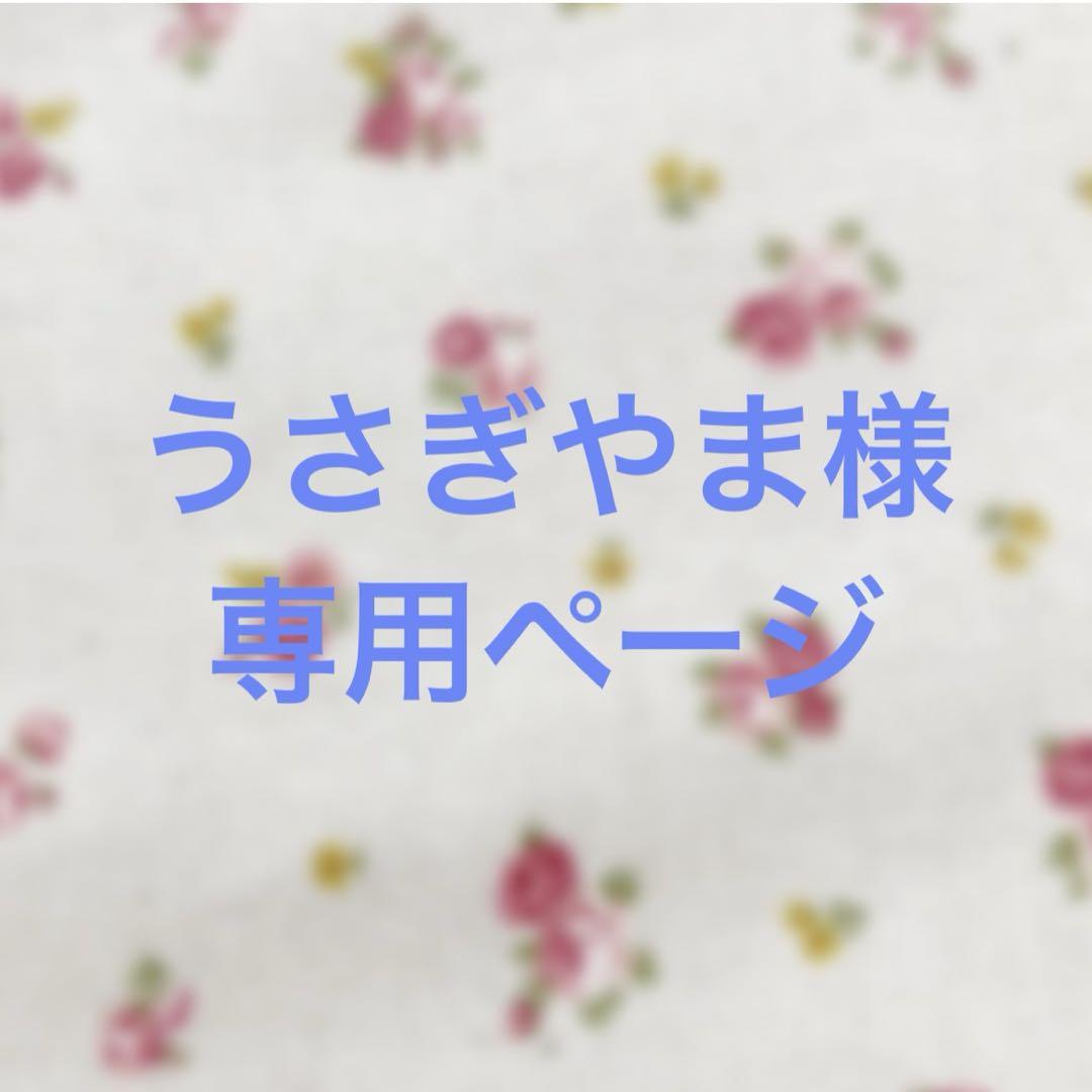 うさぎやま様　専用ページ