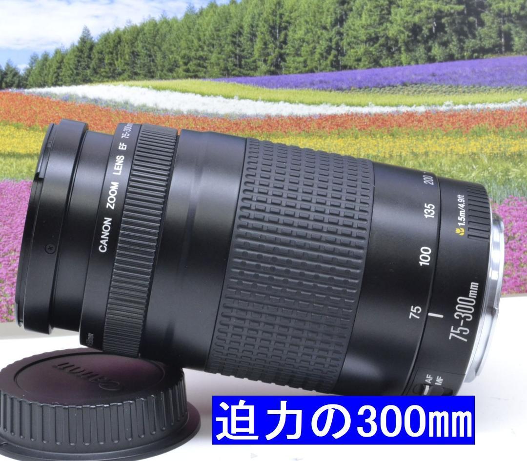想い出の一枚を!キヤノン望遠レンズ EF75-300mm Canon キャノン
