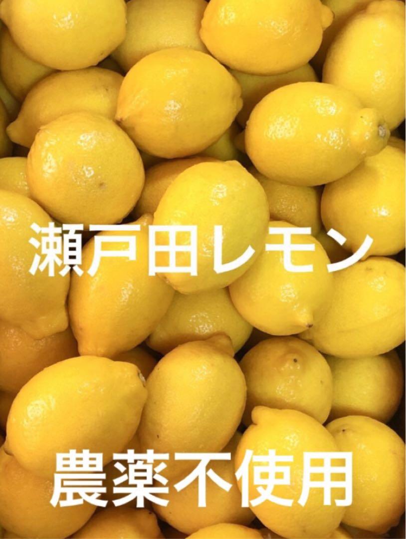 ①国産瀬戸田レモン1.3〜1.5Kg - メルカリ