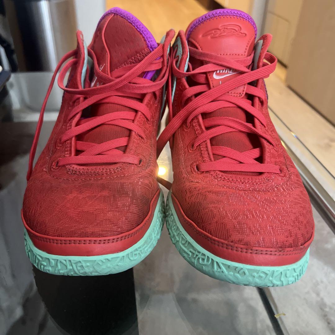 シューズ(男性用) NIKE LEBRON NXXT GEN 27cm