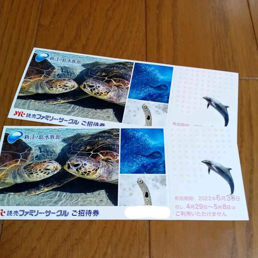 最新作 新江ノ島水族館 読売ファミリーサークル ご招待券2枚セット www.anavara. 最新作 新江ノ島水族館 読売ファミリーサークル ご招待券2枚セット www.anavara.