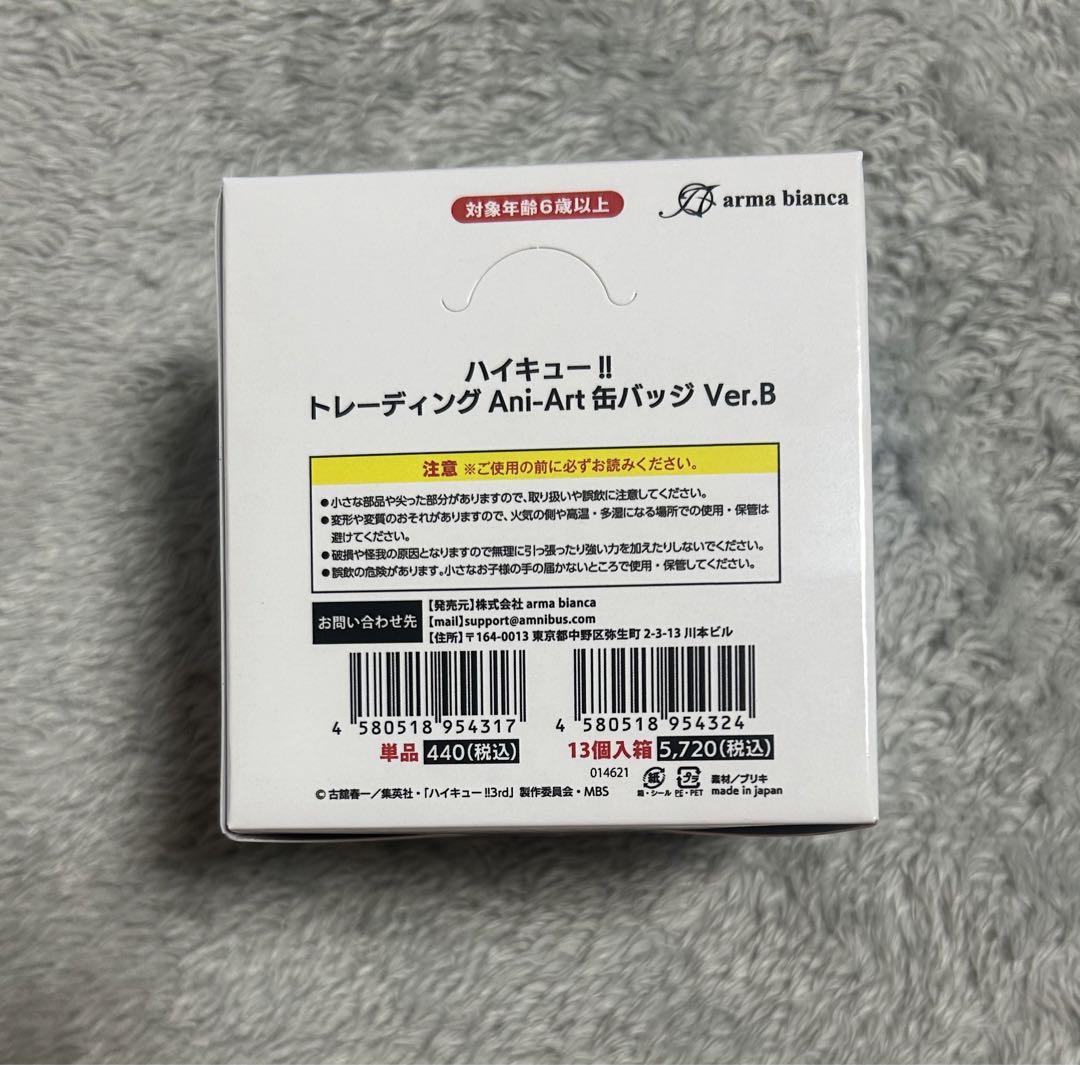 ハイキュー‼︎ トレーディング　Ani-Art 缶バッジ　Ver.B