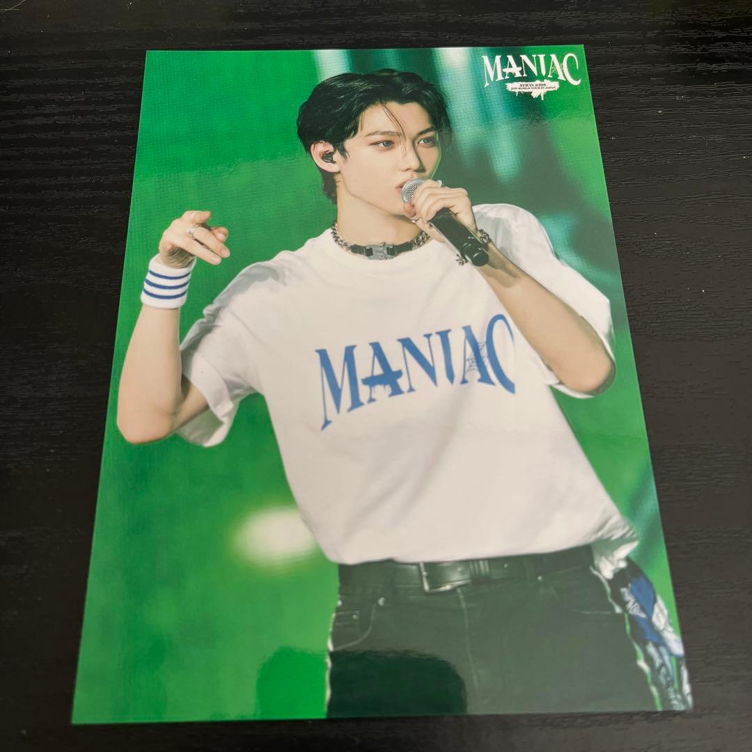 最大65%オフ! StrayKids フィリックス SKZOO ポガリ うちわケース