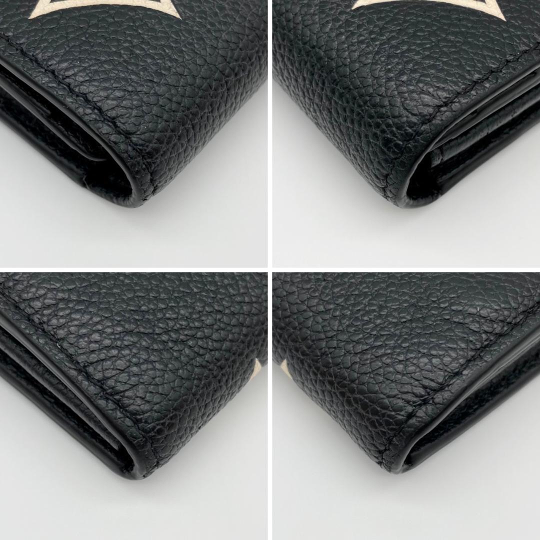 LOUIS VUITTON - IC ルイヴィトン アンプラント バイカラー サラ