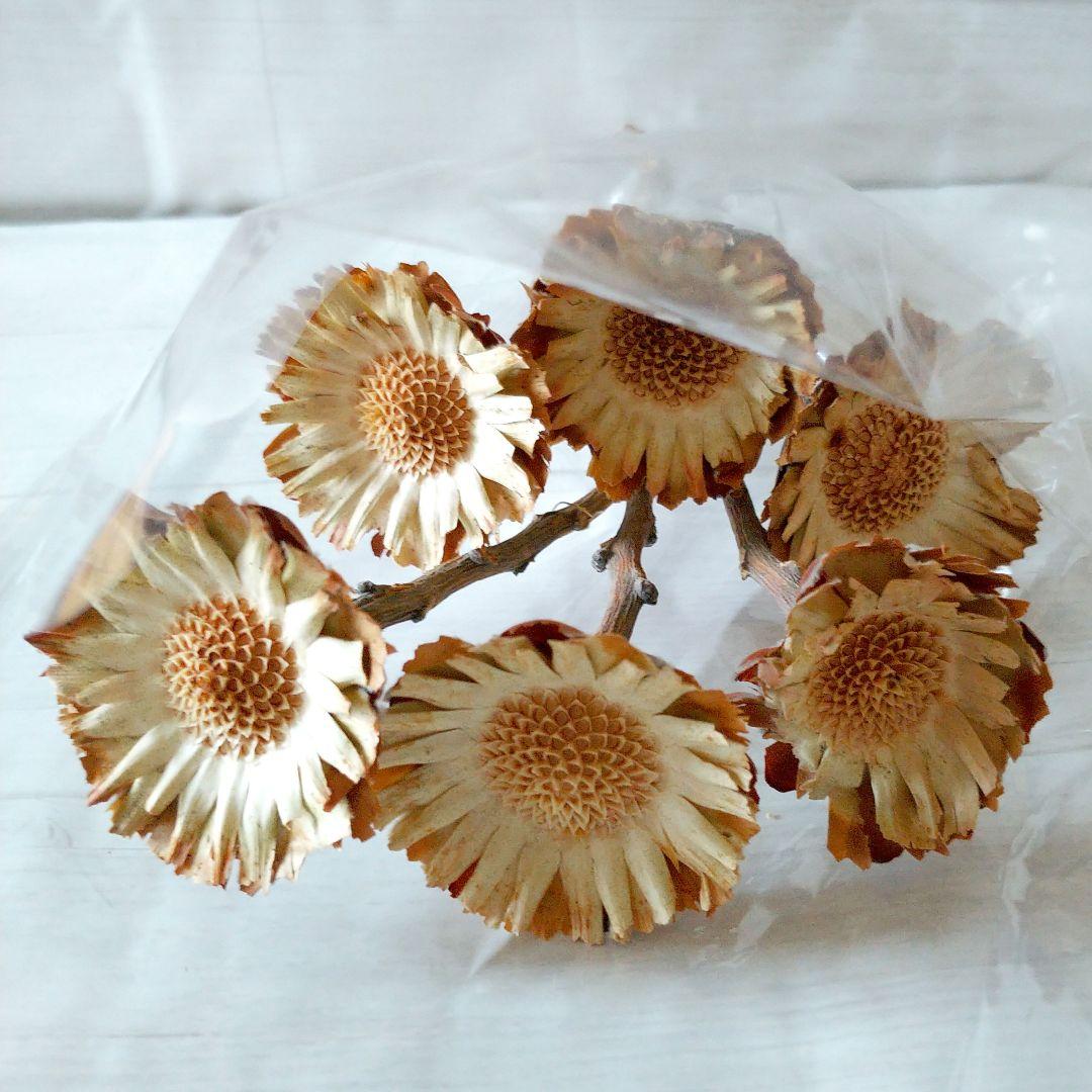 hanauta⚘﻿様 リクエスト 8点 まとめ商品