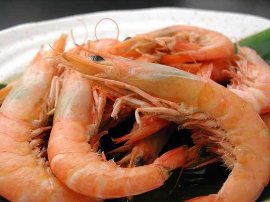 漁師直送　高級冷凍よしエビ　1kg 鮮度抜群