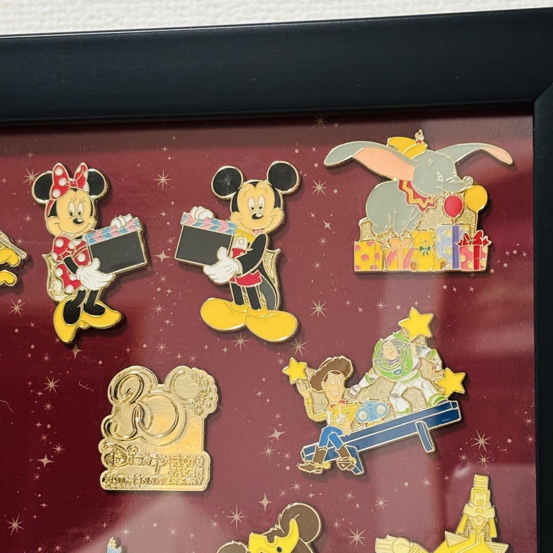 Disney Store ディズニーストア　30周年記念ピンバッジセット　12個